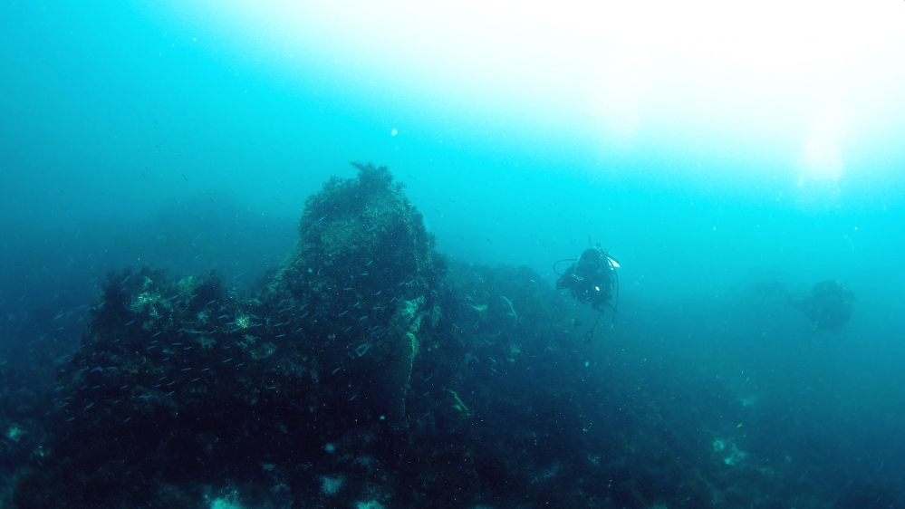 Diving Shop SEVEN7_27