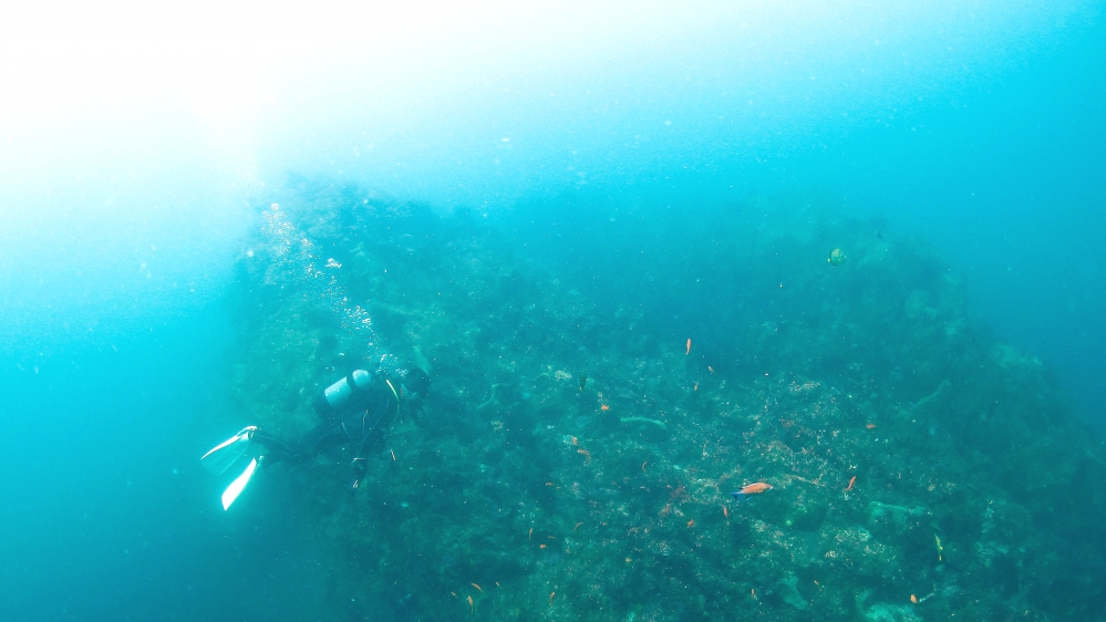 Diving Shop SEVEN7_26