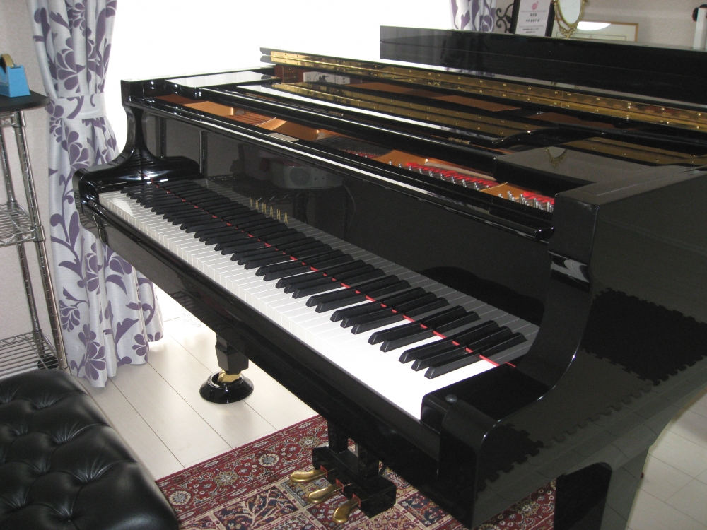 音の森　音楽教室