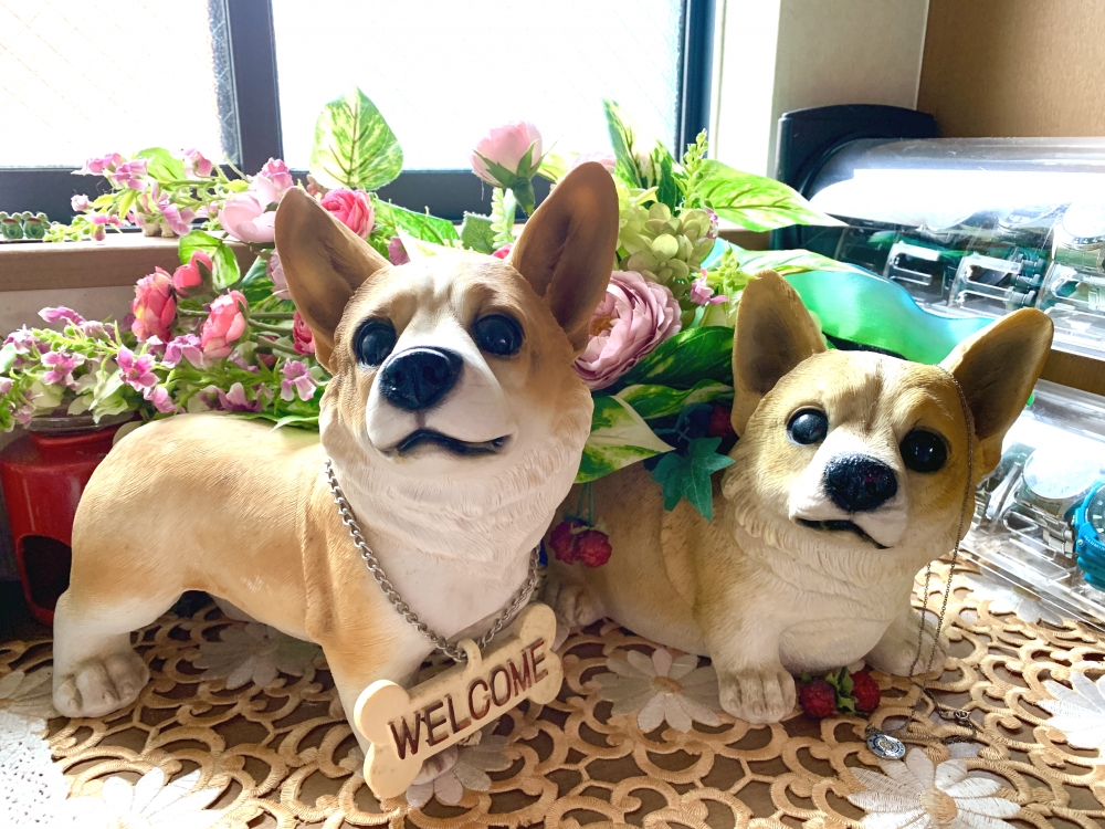 きのしたピアノ教室_27