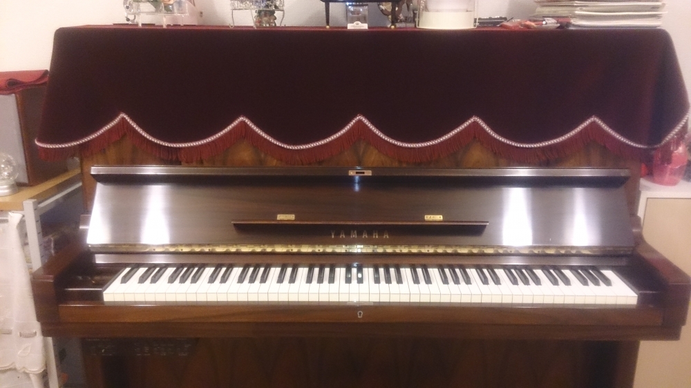 ピアノフォルテ音楽教室