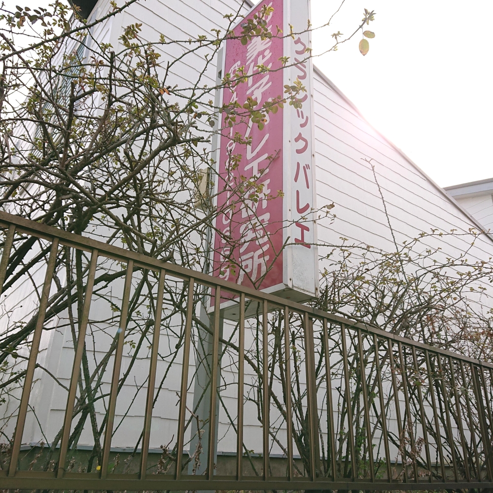 北美代子バレエ研究所