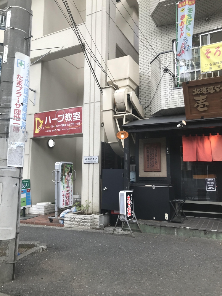 ハープ教室横浜・たまプラーザ店_1