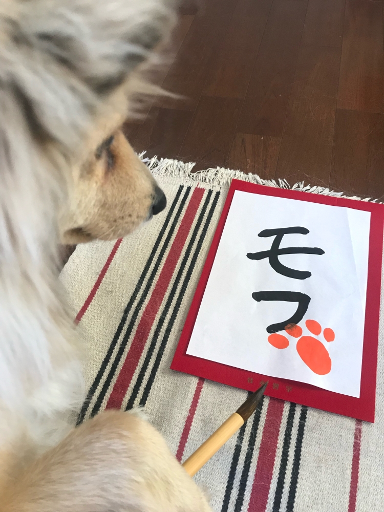 モフモフ書道（綱島　書道教室）