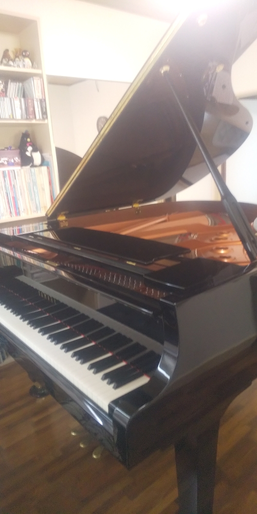 スカラ音楽院_3