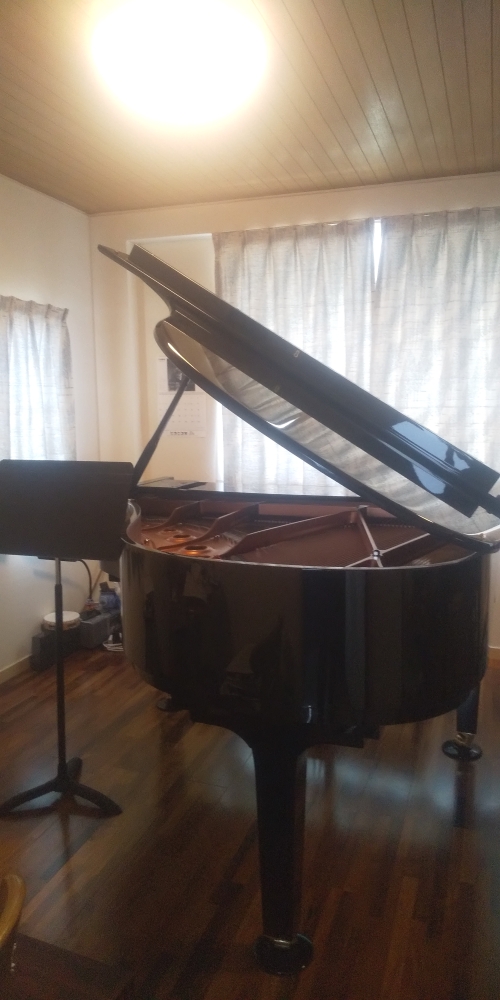 スカラ音楽院_2