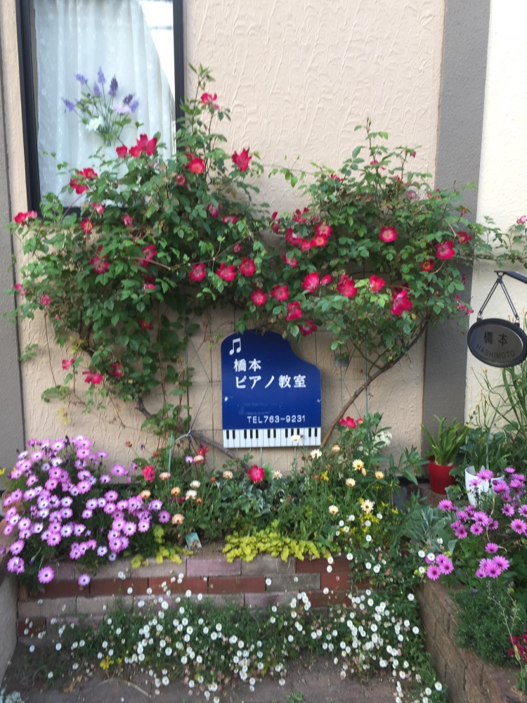 橋本ピアノ教室_1
