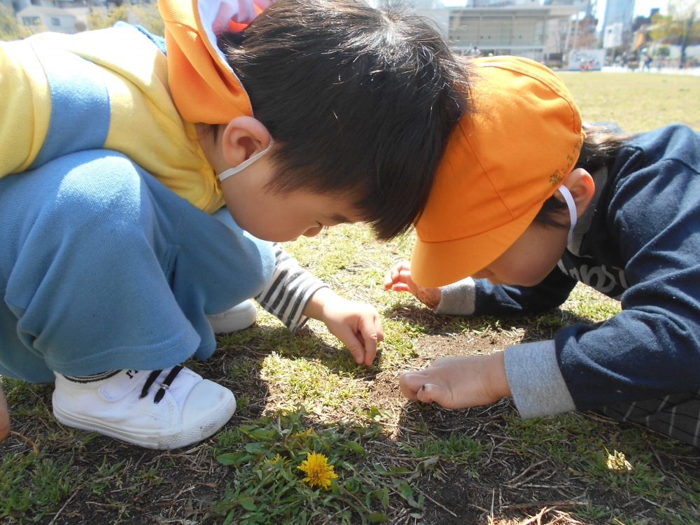 キッズルーム親こっ子プラス_1