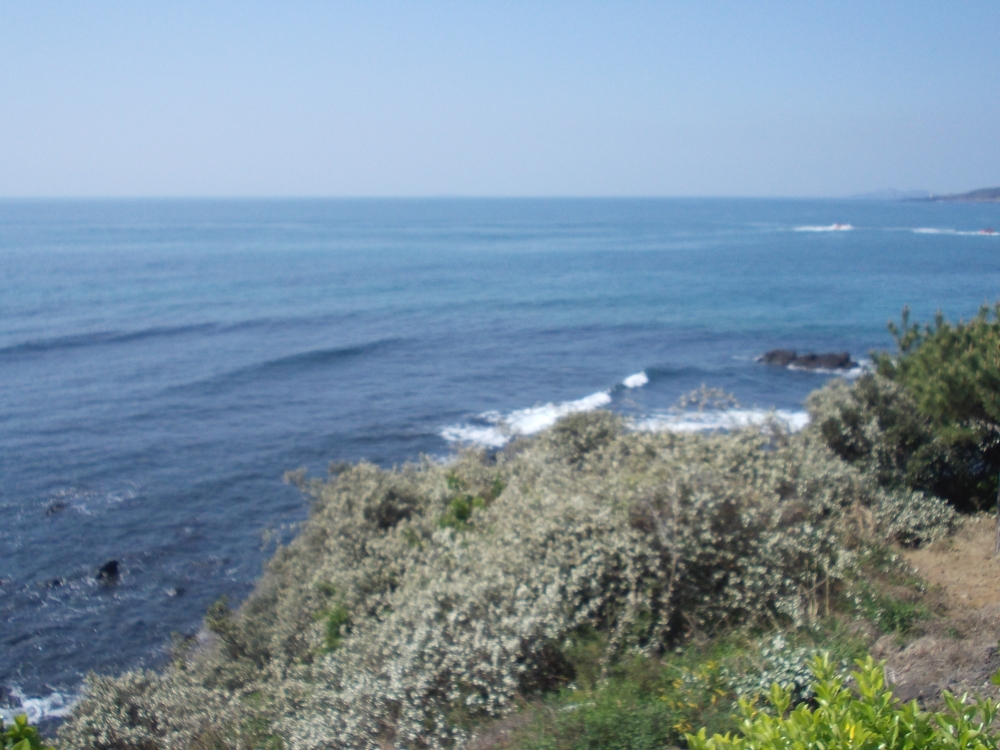 中国語教室　大間野5丁目