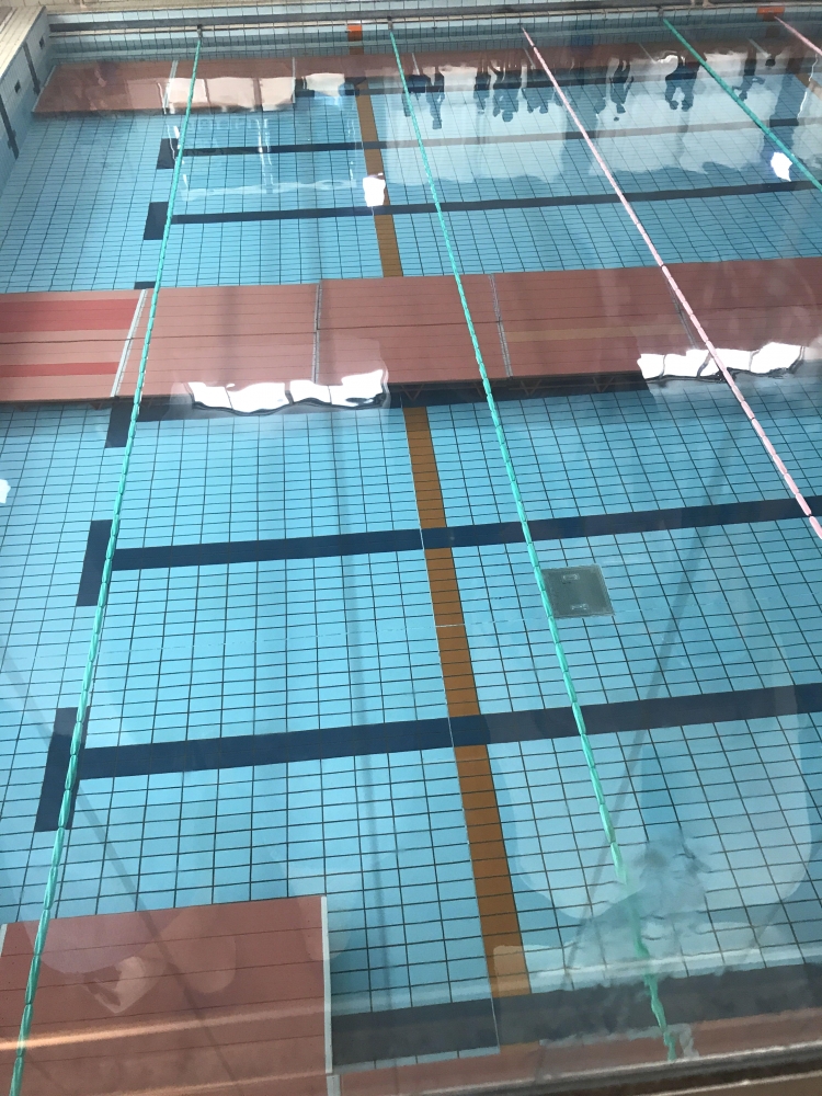 アテナアクアメイツ_4