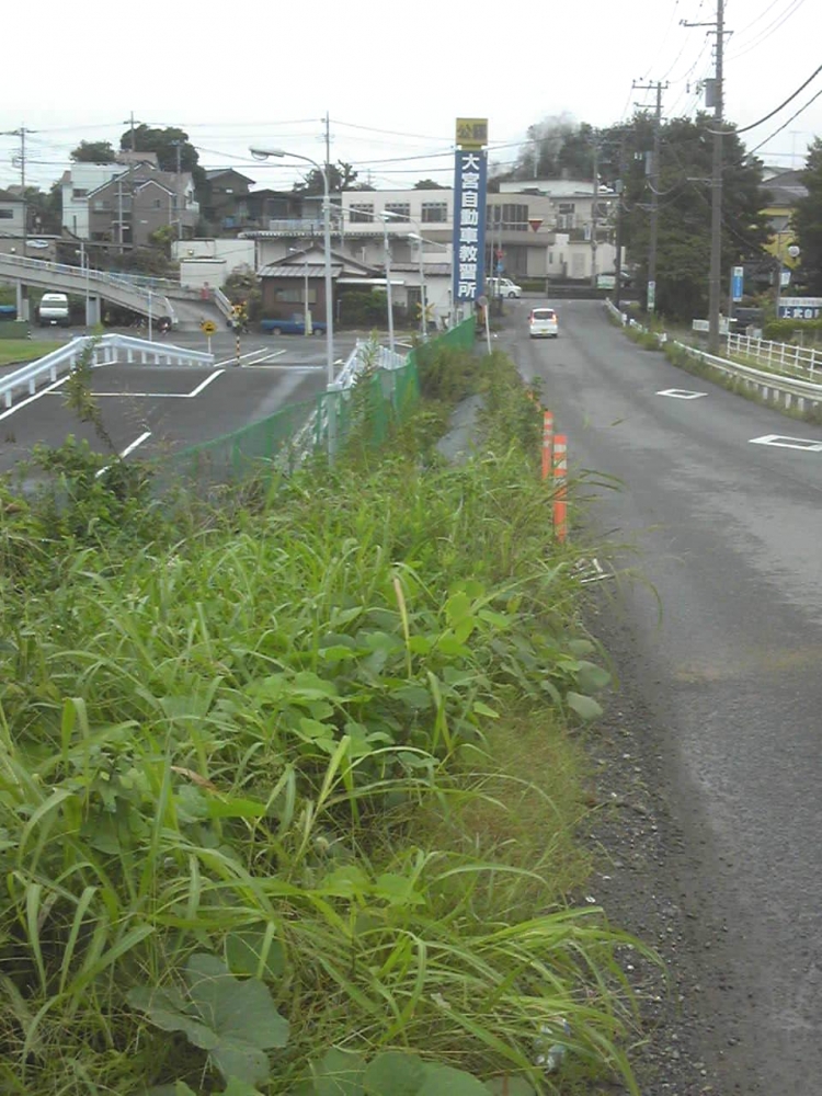 株式会社大宮自動車教習所_1