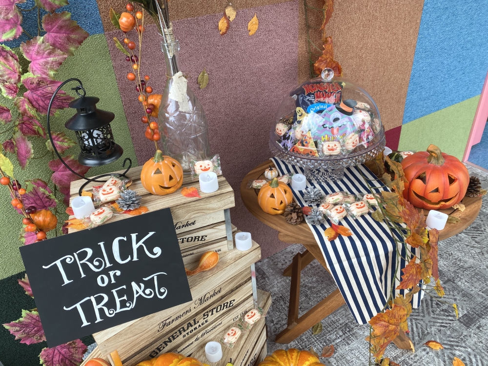 子ども英語・英会話　M&Jイングリッシュクラブ　北与野教室_3