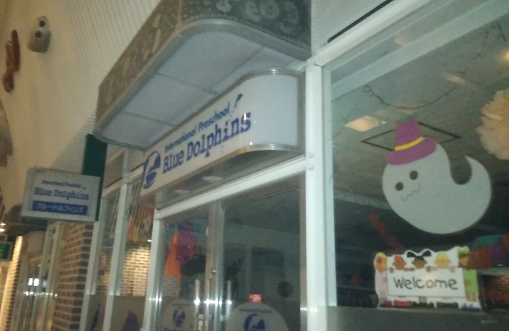 ブルードルフィンズ 浦和校_2