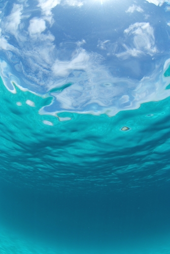 キューピッド　ダイビングスクール　大宮店_0