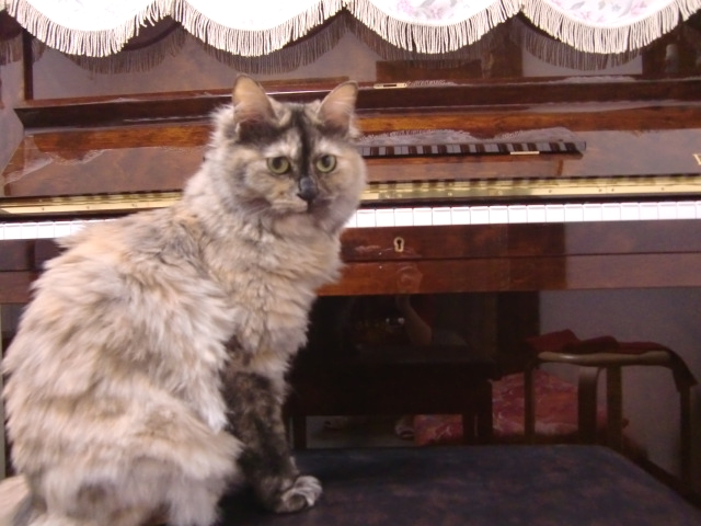 にじのわ音楽教室cello＆piano_1