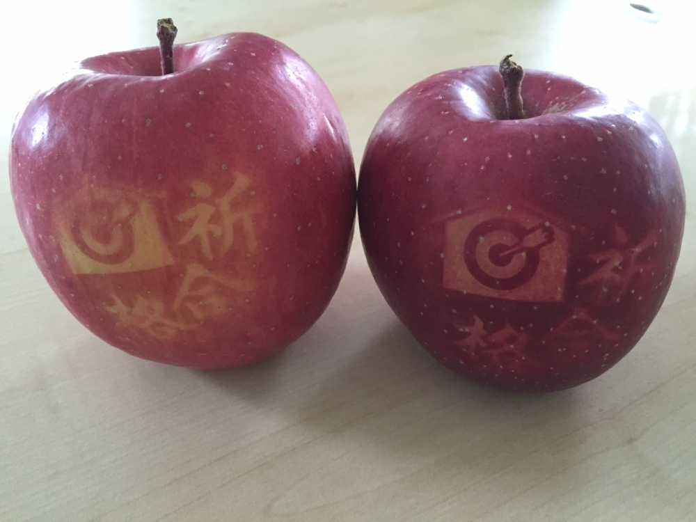 合気道学習塾自然館_3