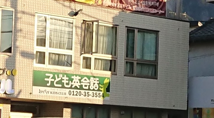 子ども英会話ペッピーキッズクラブ（秩父教室)_1