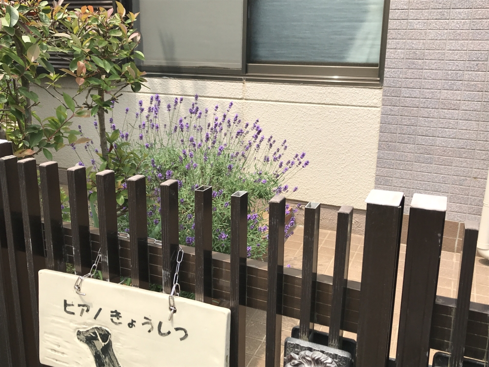 たけうちピアノ教室_0