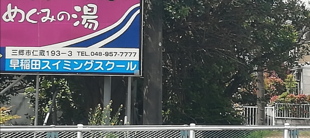 早稲田スイミングスクール_1