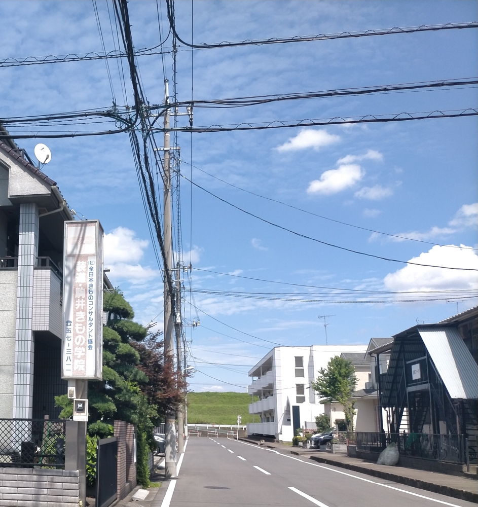 装道・駒井礼法きもの学院_1