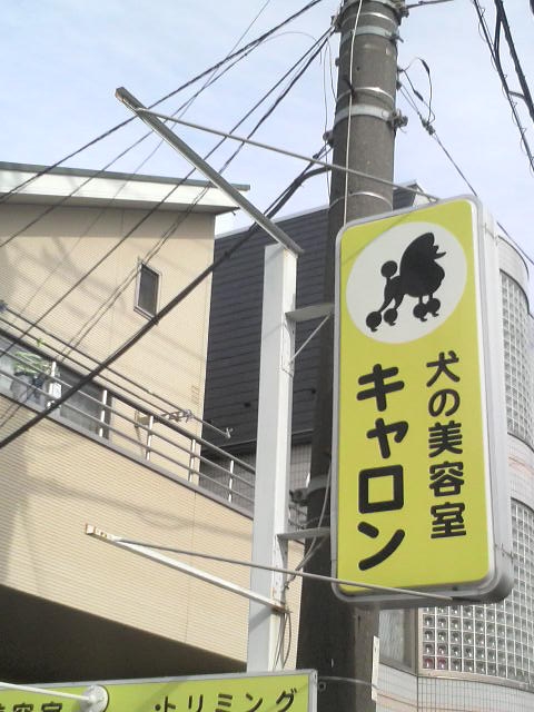 犬の美容室キャロン