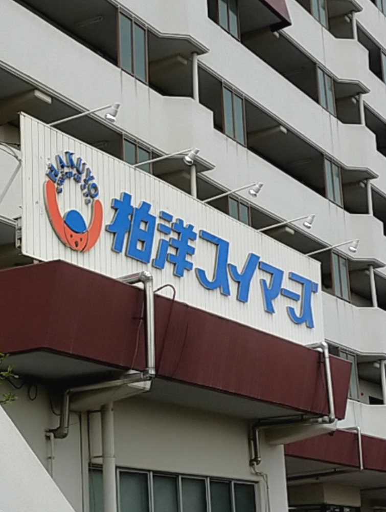 柏洋スイマーズ柏スクール_1