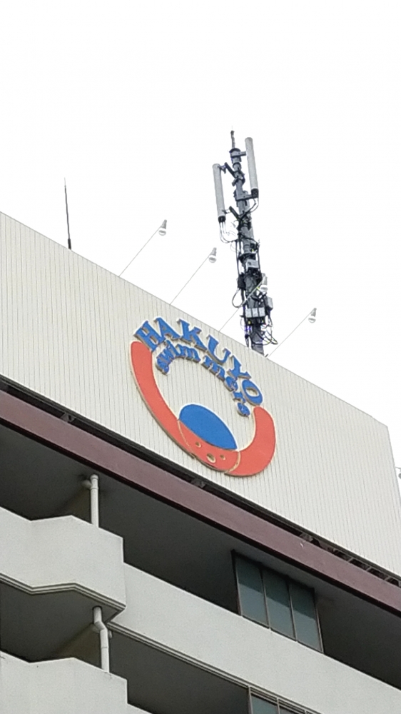 柏洋スイマーズ柏スクール