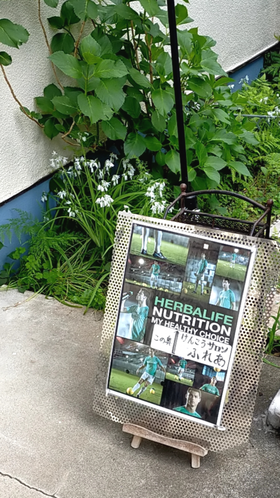 けんこうサロンふれあ