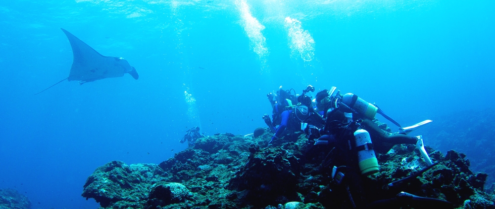 オーシャンドリーム_3