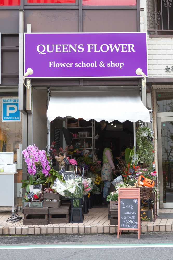 QUEENS FLOWER _11