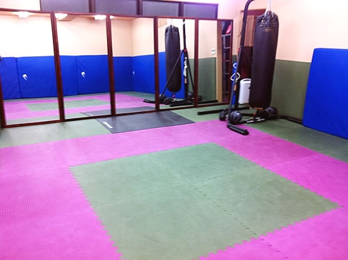 和術慧舟會　船橋道場 総合格闘技 修斗_2