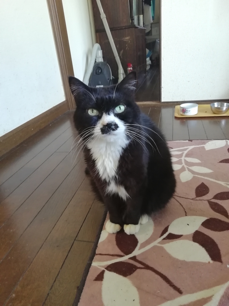 Private Lesson Kikuchi _3