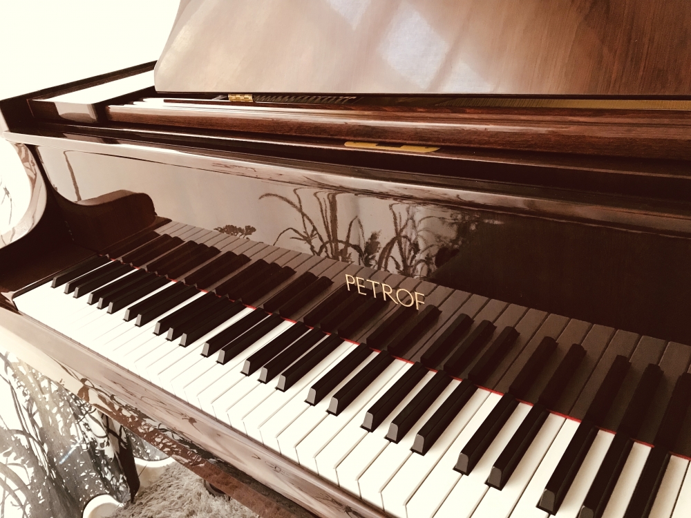 Sound Forest 音楽教室_3