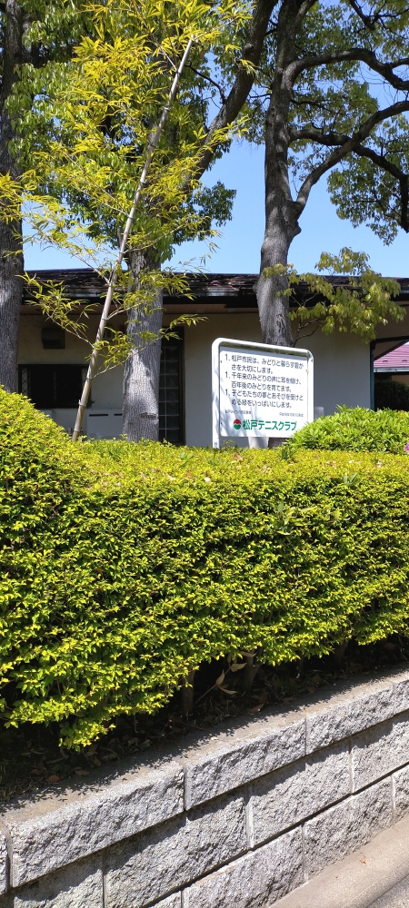 松戸テニススクール_2