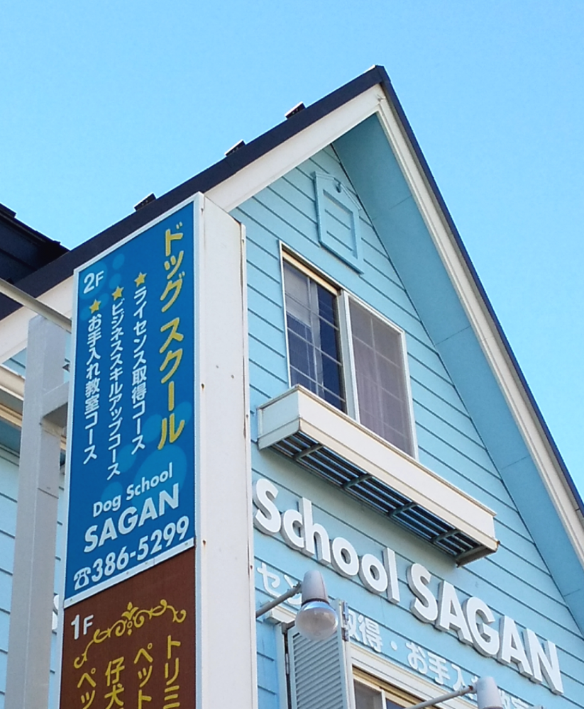 プロフェッショナルグルマーズスクールサガン_2