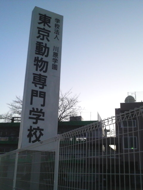 東京動物専門学校