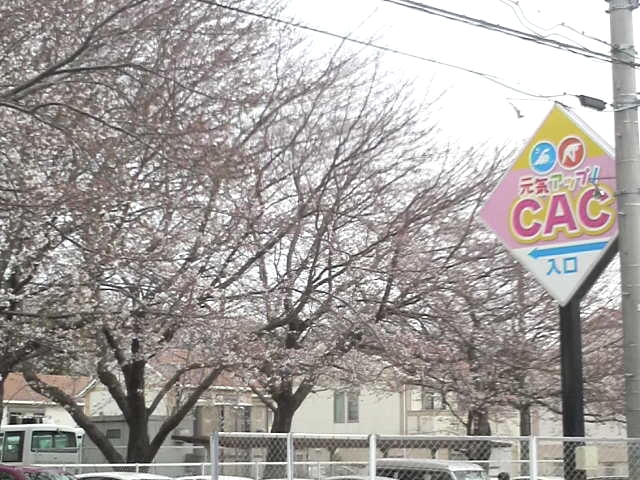 ＣＡＣスイミングスクール勝田台