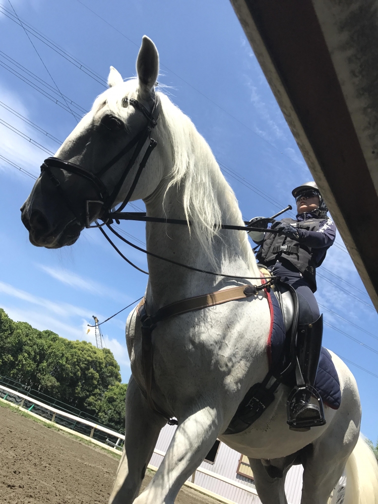 四街道グリーンヒル乗馬クラブ