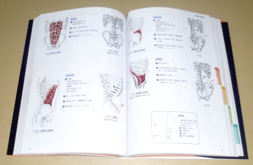 宇都宮整体院スクール_9