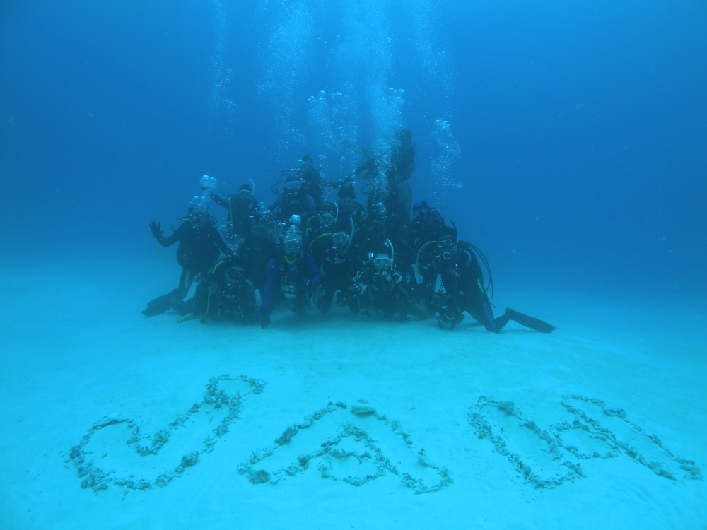 ジャーダイビングクラブ　宇都宮店_4