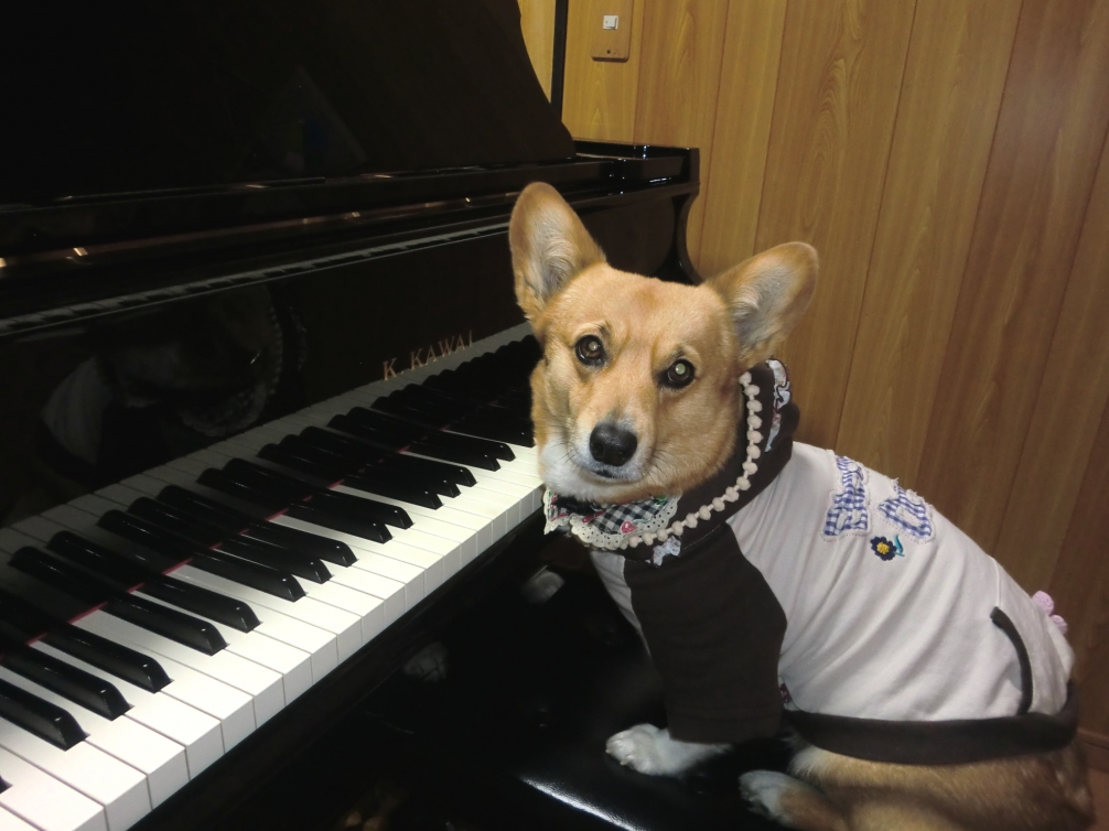 あぽろんピアノ教室