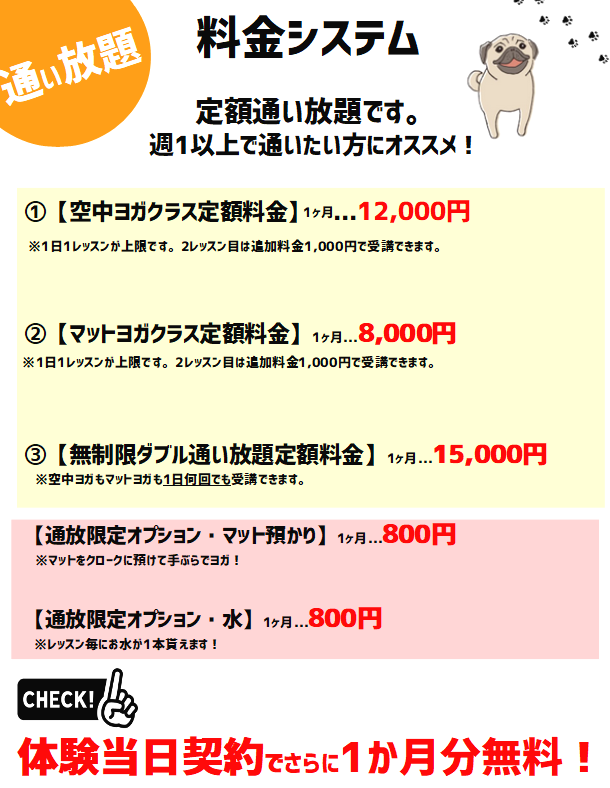 茨城県桜川市　ヨガ教室、イワセヨガ。_4