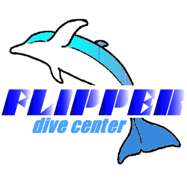 フリッパーダイブセンター