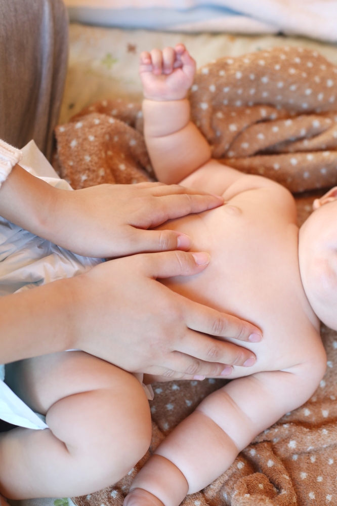 BEBE TERRE (ベベテール)_1