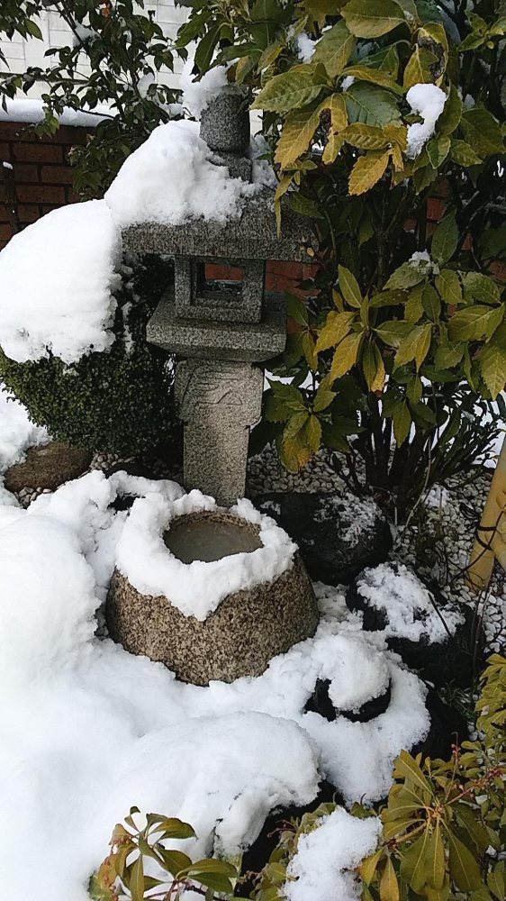 千木良茶道教室_27