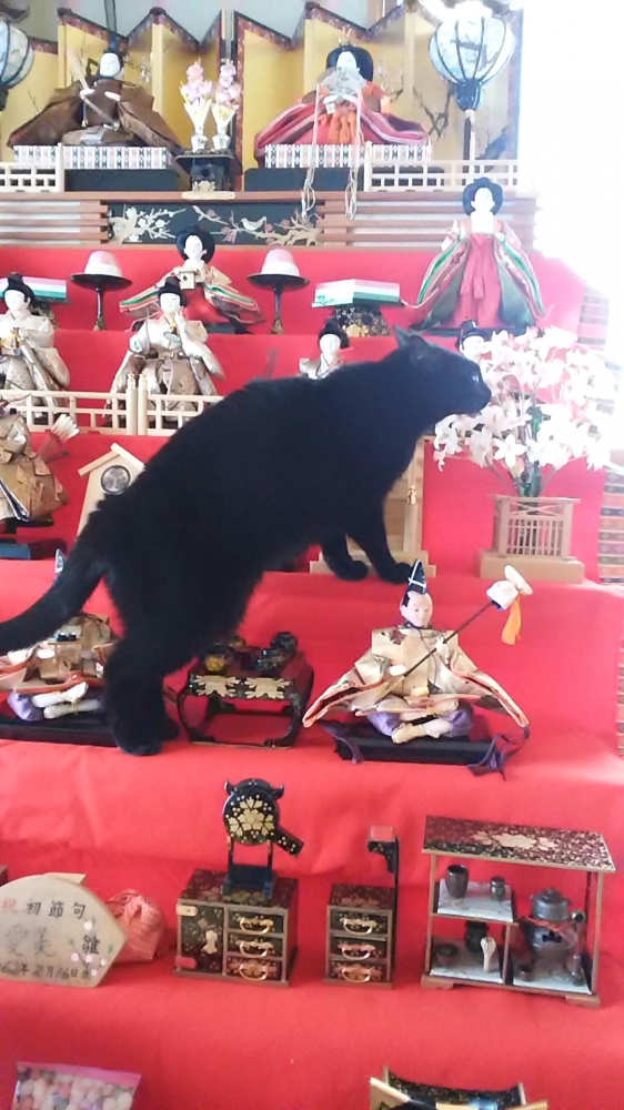 千木良茶道教室_23