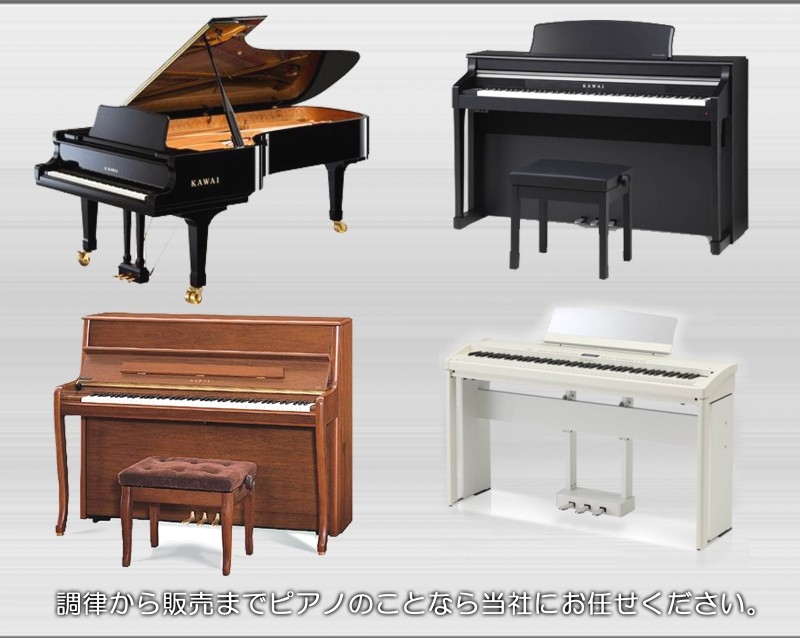 カワイ音楽教室 ミュージカルショップシロセ_1