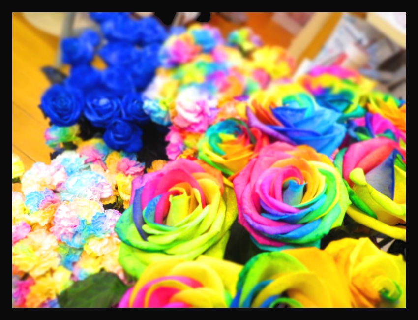 ＲａｉｎｂｏｗＦｌｏｗｅｒＦｌｏｒｅ