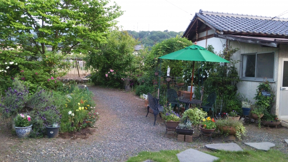 たつざわ音楽教室_2