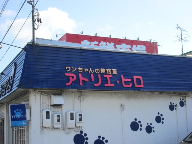 ヒロ・グルーミングスクール